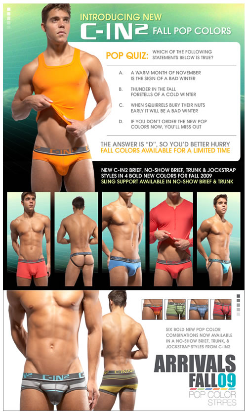 New Fall 2011 C-IN2 colours have arrived at Topdrawers! – Underwear News  Briefs
