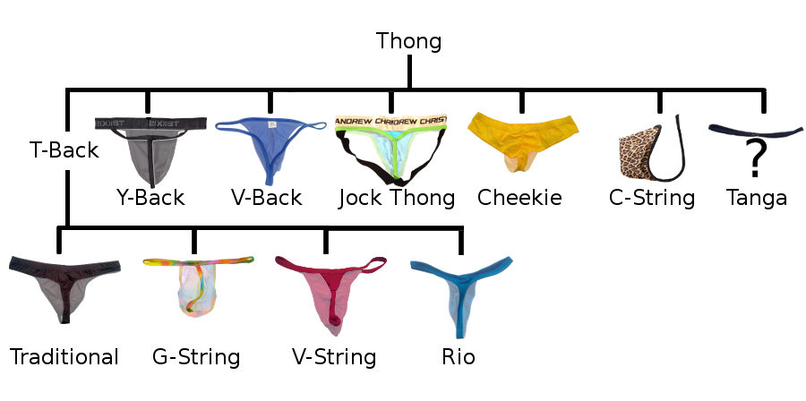 Thongs 101 What Are The Styles Of Thongs Underwear News Briefs