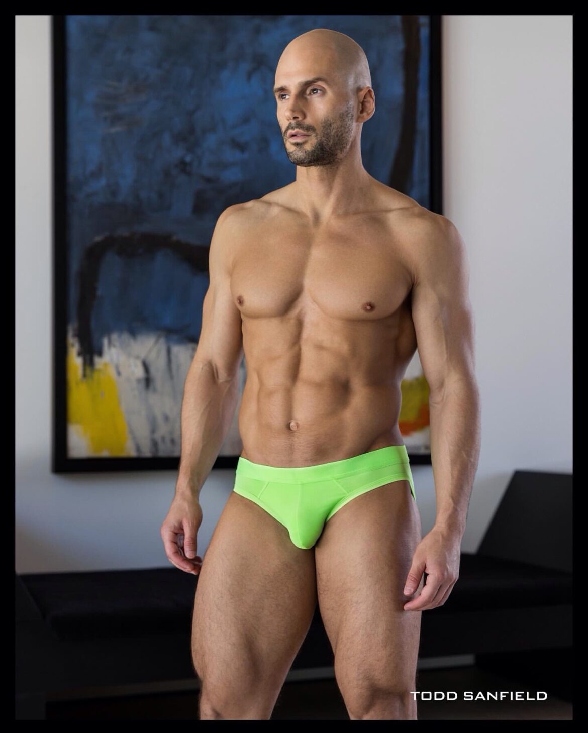 Brief Distraction Featuring Todd Sanfield Underwear News Briefs 